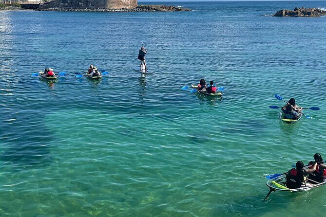 Clear Kayak Tour in Condado Lagoon - Who Will Love This Tour?