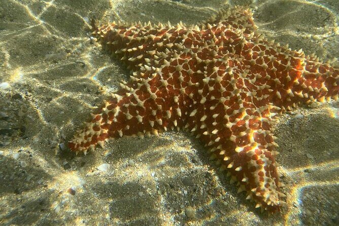 Clear Kayak Tour in Condado Lagoon - Final Thoughts