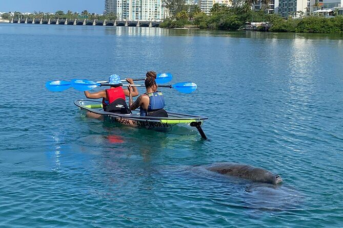 Clear Kayak Tour in Condado Lagoon - FAQ