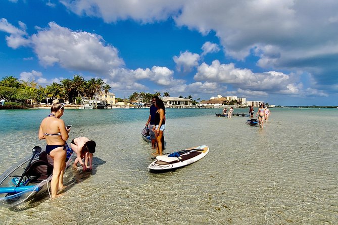 Clear Kayak Tour in Jupiter - Positive Tour Experiences