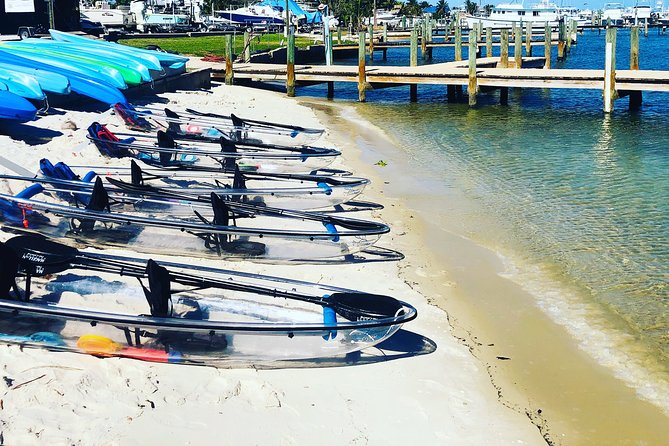 Clear Kayak Tour in Jupiter - Recommendations and Referrals