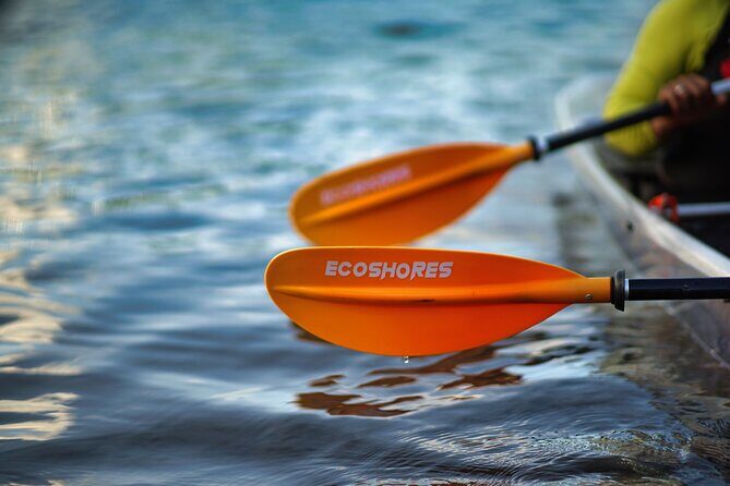 Clear Kayak Tour in Mangrove Antigua - The Experience of a Lifetime: Authentic Nature & Personal Connection