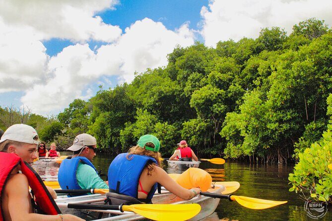 Clear Kayak Tour in Mangrove Antigua - Final Thoughts: Who Should Take This Tour?