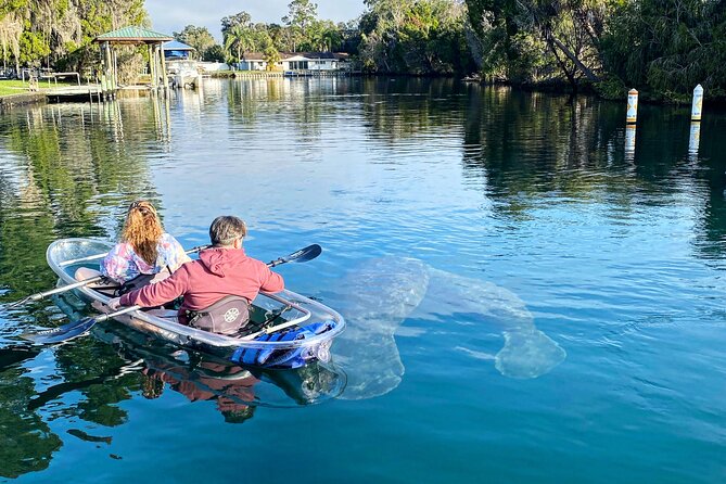 Clear Kayak Tour of Crystal River - Tour Overview and Details