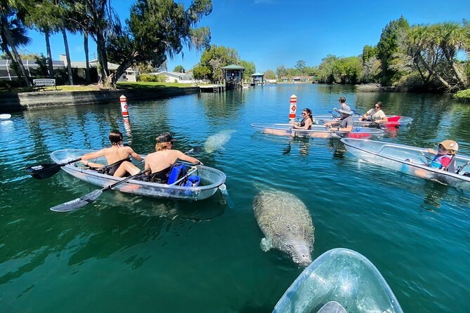 Clear Kayak Tour of Crystal River - Guide and Clear Kayak Feedback