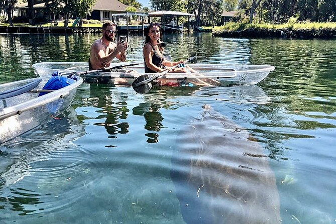 Clear Kayak Tour of Crystal River - Directions and Meeting Point