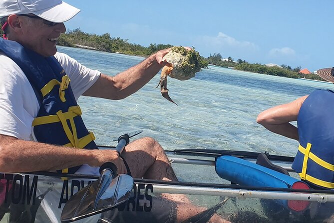 Clear Kayak Tour of Mangroves in Turks and Caicos  - Providenciales - Common Questions