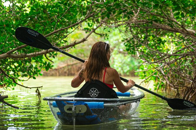 Clear Kayak Tour of Shell Key Preserve and Tampa Bay Area - Additional Information