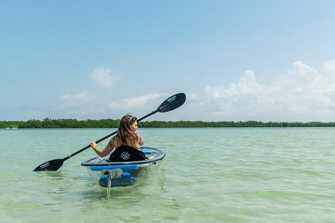 Clear Kayak Tour of Shell Key Preserve and Tampa Bay Area - Wildlife Encounters