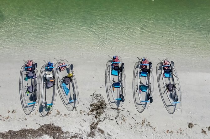 Clear Kayak Tour of Shell Key Preserve and Tampa Bay Area - Tour Highlights