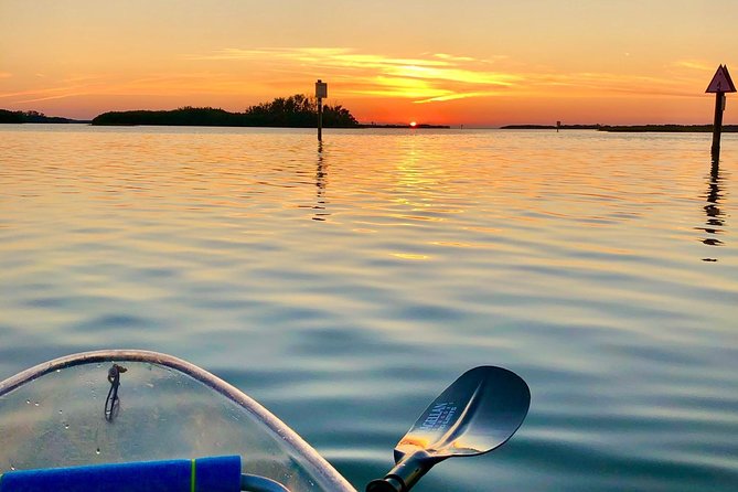 Clear Kayak Tour of Shell Key Preserve and Tampa Bay Area - Common Questions