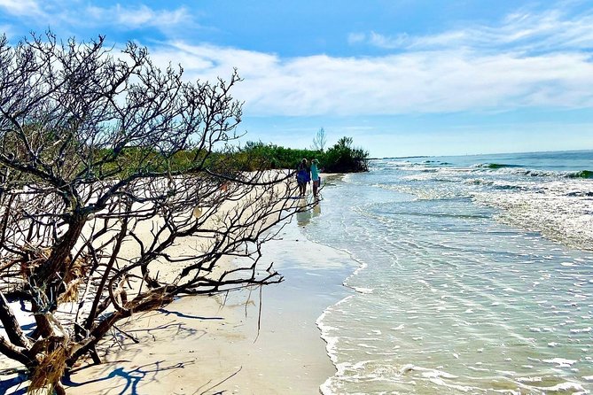 Clear Kayak Tour of Shell Key Preserve and Tampa Bay Area - The Sum Up
