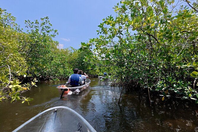 Clear Kayak Tour of Tarpon Springs Sponge Docks & Mangroves - An In-Depth Look at the Clear Kayak Tour Experience