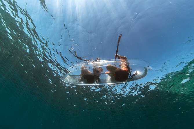 Clear Kayak Tour to Canyon, Island Cliffs & Small Cave - Tour Highlights and Reviews