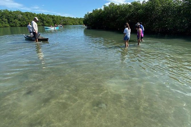 Clear Kayak Tours in Fort Pierce - Cancellation Policy