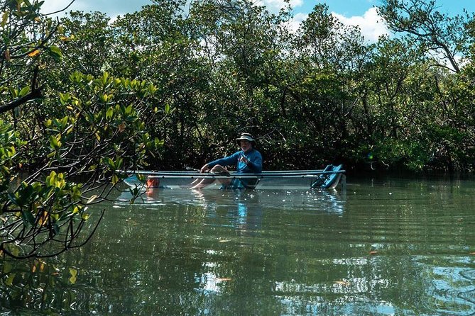 Clear Kayak Tours in Fort Pierce - Common Questions