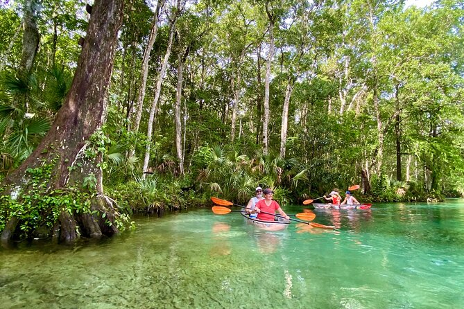 Clear Kayak Tours in Weeki Wachee - Meeting Point and Duration