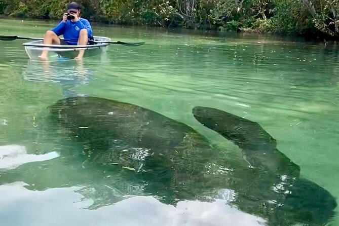 Clear Kayak Tours in Weeki Wachee - Positive Reviews and Guide Appreciation