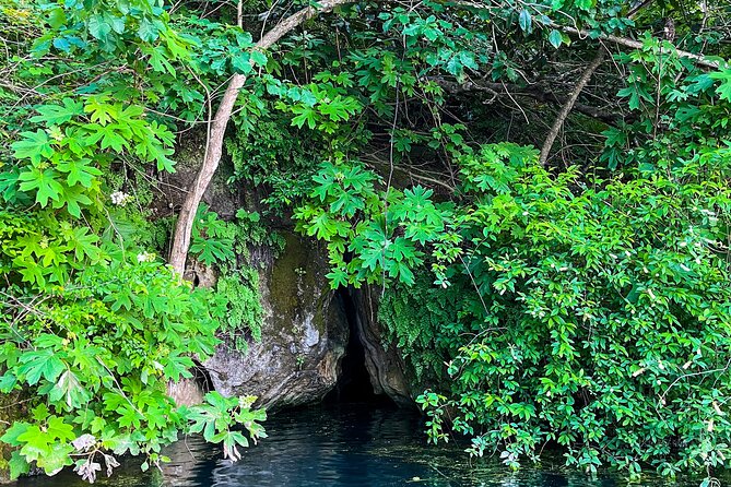Clear Kayaking Eco Adventure Tour in Marianna - Meeting and Pickup Information