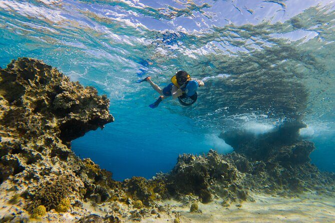 Clear Kayaking, Sea Scooters Adventure - Why This Tour Works