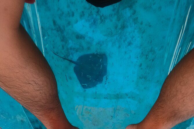 Clear Kayaking, Sea Scooters Adventure - Frequently Asked Questions