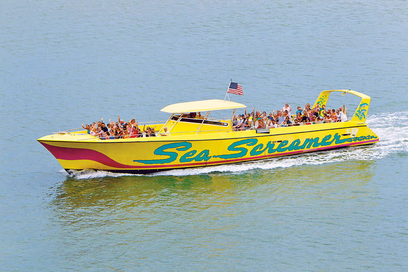 Clearwater Beach Day Trip with Optional Upgrades from Orlando - The Orlando Pickup and Return
