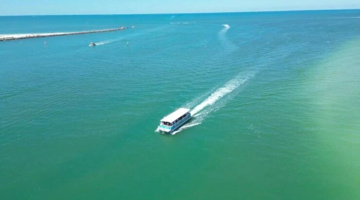 Clearwater Beach: Dolphin and Sandbar Boat Cruise - Location and Provider Details