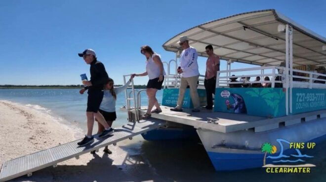 Clearwater Beach: Dolphin and Sandbar Boat Cruise - Important Information and What to Bring