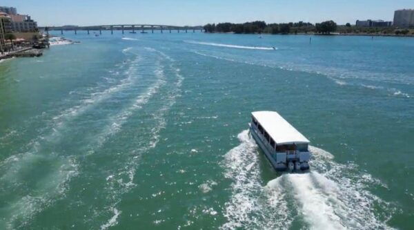 Clearwater Beach: Dolphin and Sandbar Boat Cruise - Frequently Asked Questions
