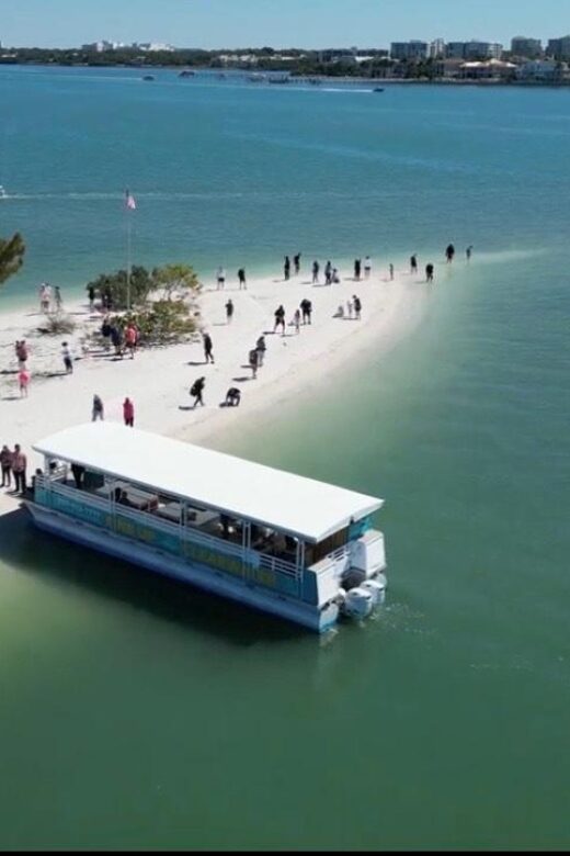 Clearwater Beach: Dolphin & Island Sandbar Cruise - The Experience from a Travelers Perspective