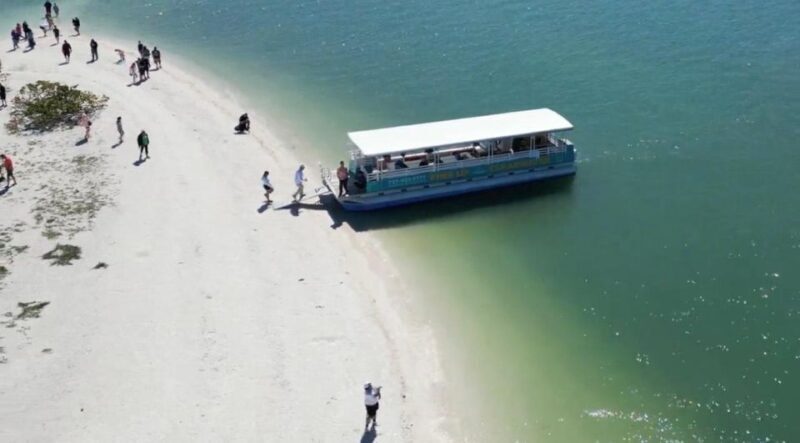 Clearwater Beach: Dolphin & Island Sandbar Cruise - Final Thoughts: Is it Worth It?