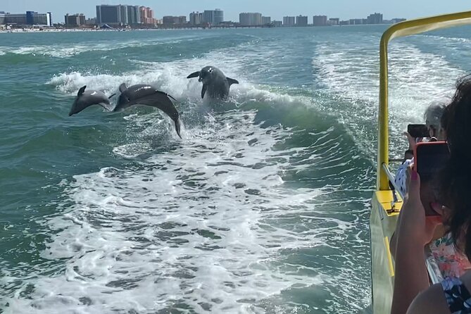 Clearwater Beach Dolphin Speedboat Adventure With Lunch & Transport From Orlando - Swap Orlando for Clearwater Beach
