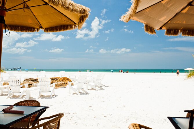 Clearwater Beach Dolphin Speedboat Adventure With Lunch & Transport From Orlando - Narrated Speedboat Tour With Dolphins