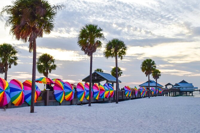 Clearwater Beach Dolphin Speedboat Adventure With Lunch & Transport From Orlando - Activity Ends at Meeting Point