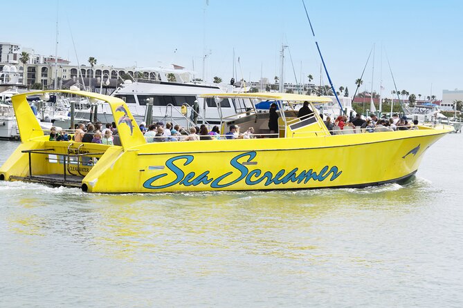 Clearwater Beach Dolphin Speedboat Adventure With Lunch & Transport From Orlando - Traveler Photos and Reviews