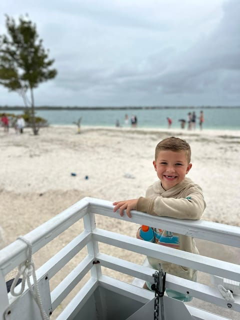 Clearwater Beach: Donuts and Dolphins - Tour Experience