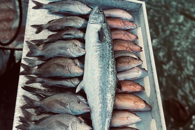 Clearwater Beach Fishing Charter! Half Day of Fishing Fun on the Water!!!!! - Additional Information and Contact