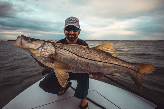 Clearwater Beach Fishing Charter! Half Day of Fishing Fun on the Water!!!!! - The Sum Up