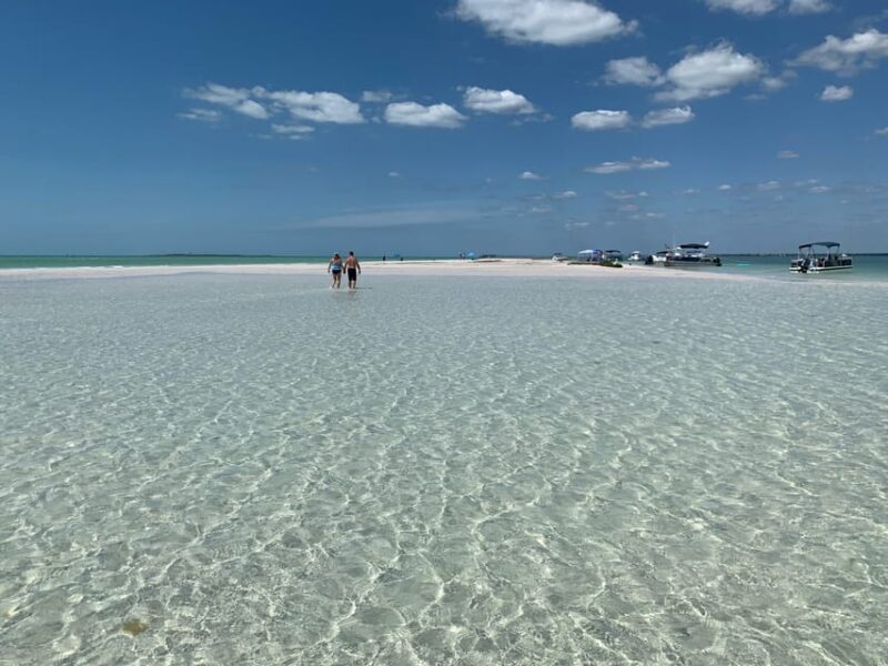 Clearwater Beach: Private Pontoon Tours - Who Will Love This Tour?