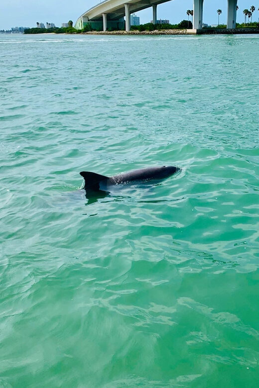 Clearwater Beach: Private Pontoon Tours - FAQ