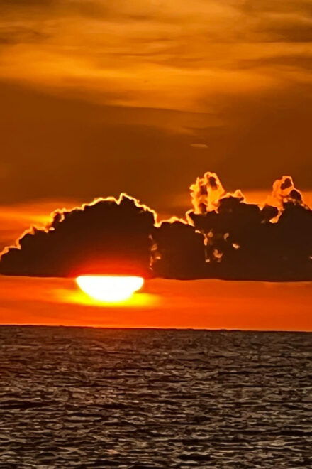 Clearwater Beach: Sunset and Harbor Lights Cruise - What to Expect on the Cruise