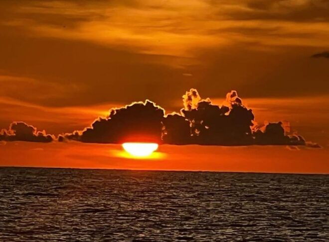 Clearwater Beach: Sunset Tiki Cruise - Wildlife Encounters