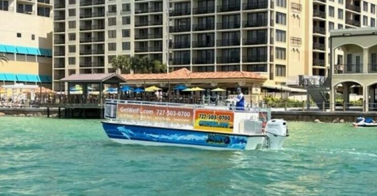 Clearwater: Dolphin-Watching Sunset Cruise - Experience Highlights