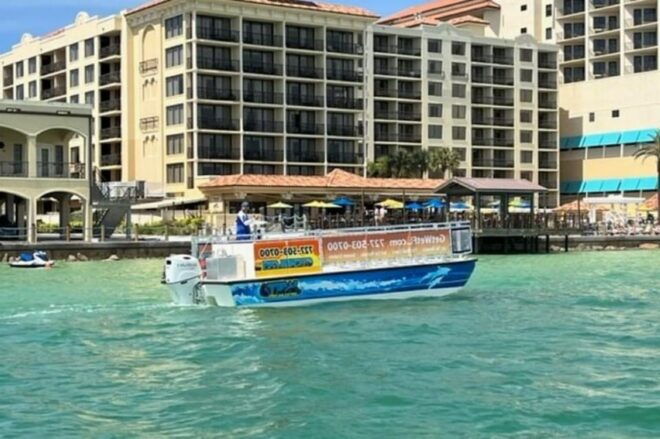 Clearwater: Dolphin-Watching Sunset Cruise - Booking Information