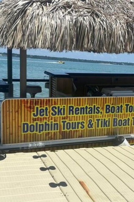 Clearwater: Dolphin-Watching Sunset Cruise - Spotting Wild Dolphins
