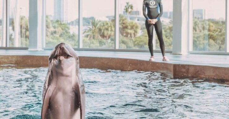 Clearwater: Eco-Certified Marine Aquarium General Admission - Ticket Details