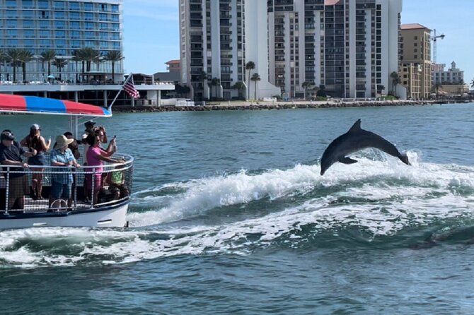 Clearwater Encounters With Dolphins Tour - Common Questions