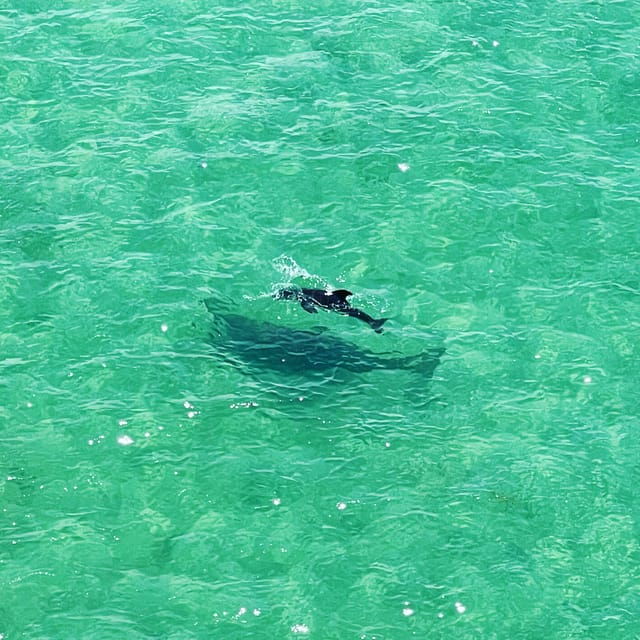 Clearwater: Guided Clear Kayaking Tour - Booking Information