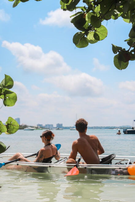 Clearwater: Guided Clear Kayaking Tour - Wildlife Viewing