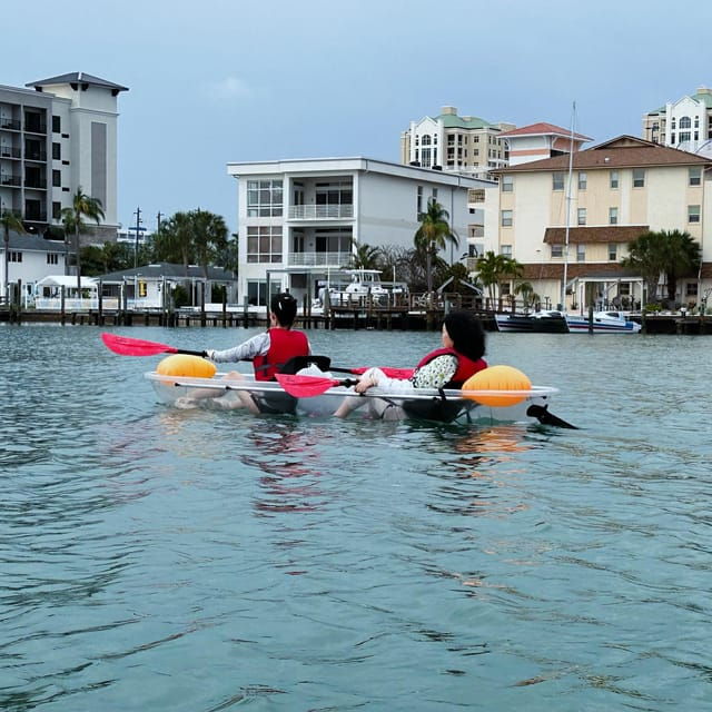 Clearwater: Guided Clear Kayaking Tour - Guided Information